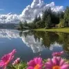 Ruqaiya Al_Hashmi