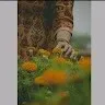 Shravani Janagama
