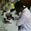 Adebayo Olayinka PhD