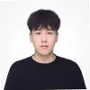 Mark LI