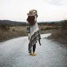 Claire Stanford