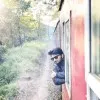 Vamsi Reddy