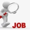 freshpk job