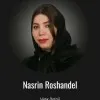 Nasrin Roshandel