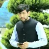 Tariq Majeedi