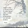 Iqra Faiz