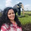 AMRUTHA
