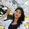 Jingxian Li