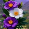 Afreen Baig