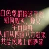 Pallot Guo