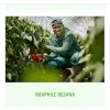 Indiphile Bezana