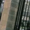 vinodh