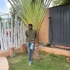 N Harish Babu