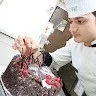 Chef Avnish Dhangar