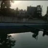 Rahil khan