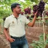 Pradip Shinde