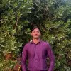 Harshal Bhamare