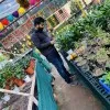 Arun Gupta
