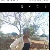 Johanna Mmauwe