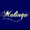 Thululu Malinga