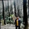 Nur Ardi