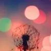 Shahzad