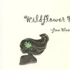 violet root
