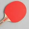ROHIT BENWAL