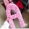 Abeer AlDakheel