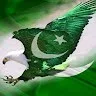 Anas Mehmood
