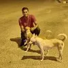 Anil