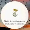 H AÇIKGÖZ