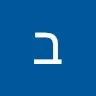 binyamin stein