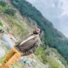 Hafiz Umair Hashmi