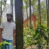Yeshwanth