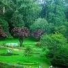 OOTY TOUR PACKAGES INDIA