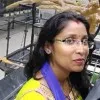 Vineetha Asokan