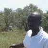 Joseph Karanja