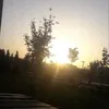 Hamza Topal