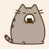 Tan Sim Yi