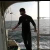 Reza Mansouri