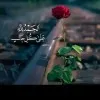 Maria Tariq