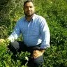 Ghulam Shabbir