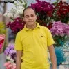 Ahmed Amer