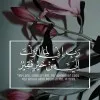 fatma hamed