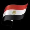 amr Mahmoud