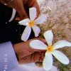 Khirad Haider