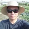 Xin Li