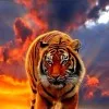 Suthara Say