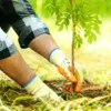 Shriram Sundaram